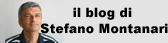 il blog di Stefano Montanari