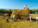 UN'AGRICOLTURA MODERNA PER L'AVVENIRE