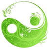 25 OTTOBRE - 9 NOVEMBRE 2014 PIEVE DI SOLIGO (TV) RIALLINEAMENTO VERTEBRALE