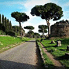 01 OTTOBRE 2017 - ROMA - LE ERBACCE DELL'APPIA ANTICA