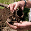 11 - 14 GENNAIO 2018 POMAIA (PI) - CORSO DI AGRICOLTURA BIODINAMICA 11 EDIZIONE