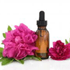 12 - 13 MAGGIO BOLOGNA - CORSO DI FLOWER-MASSAGE