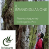 17 FEBBRAIO 2019 PISTOIA - RISERVA ACQUERINO-CANTAGALLO - IL BRANDIGLIANONE