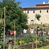 26 MAGGIO 2019 BAGNO DI ROMAGNA (FC) - FATTORIE APERTE 2019 - TREKKING PRANZO E VISITA ALLA FATTORIA