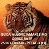 25 - 26 GENNAIO 2020 PELAGO (FI) - GUIDA ALLO SCIAMANESIMO - CORSO BASE