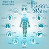 10 SETTEMBRE 2022 - BATTAGLIA TERME (PD) - IL POTERE DELL'ACQUA