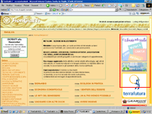 BANNER METALINK DOPPIO 3 MESI